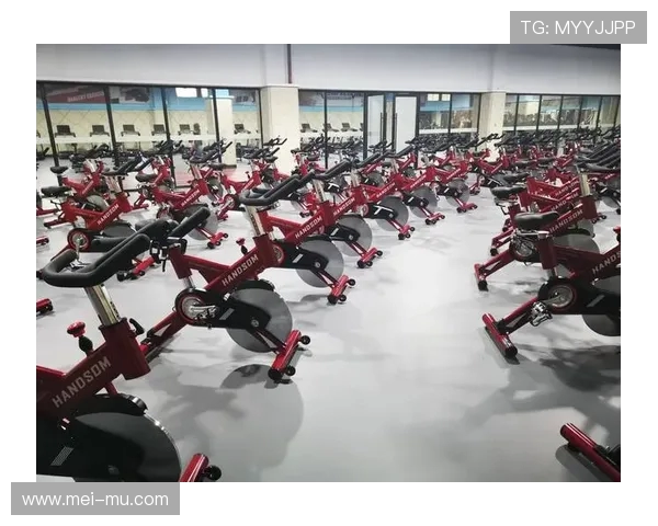 家用健身器材品牌介绍及市场热点解析