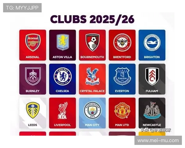 13-14赛季英超球队阵容及赛季表现回顾 13-14赛季英超球队阵容及赛季表现回顾