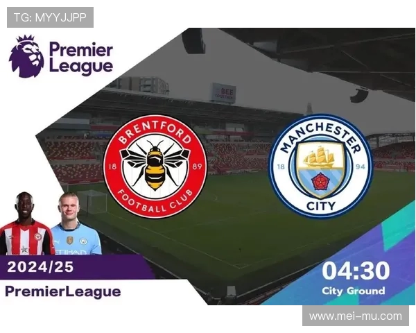 欧洲五大联赛：德甲与意甲球队对比解析