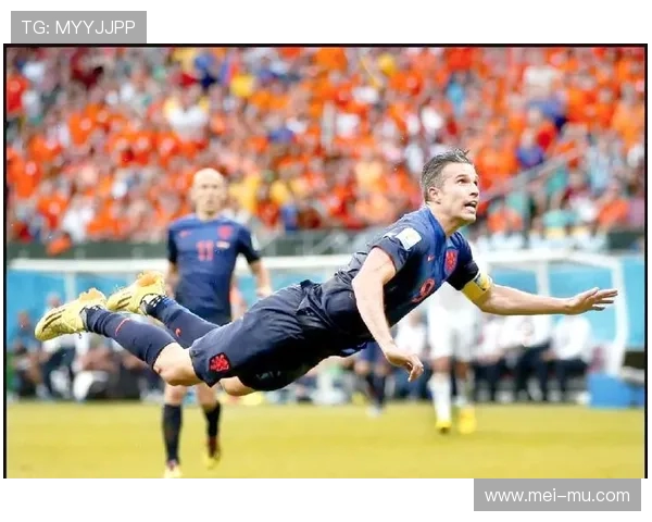 2014年巴西世界杯荷兰与西班牙巅峰对决精彩回顾 2014年巴西世界杯荷兰与西班牙巅峰对决精彩回顾