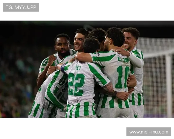 西甲巴列卡诺队完整赛程表与历史数据汇总